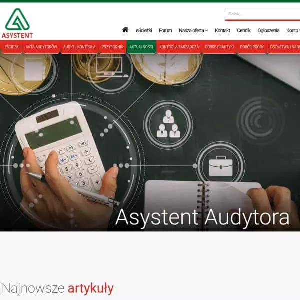 Strona www - audyt